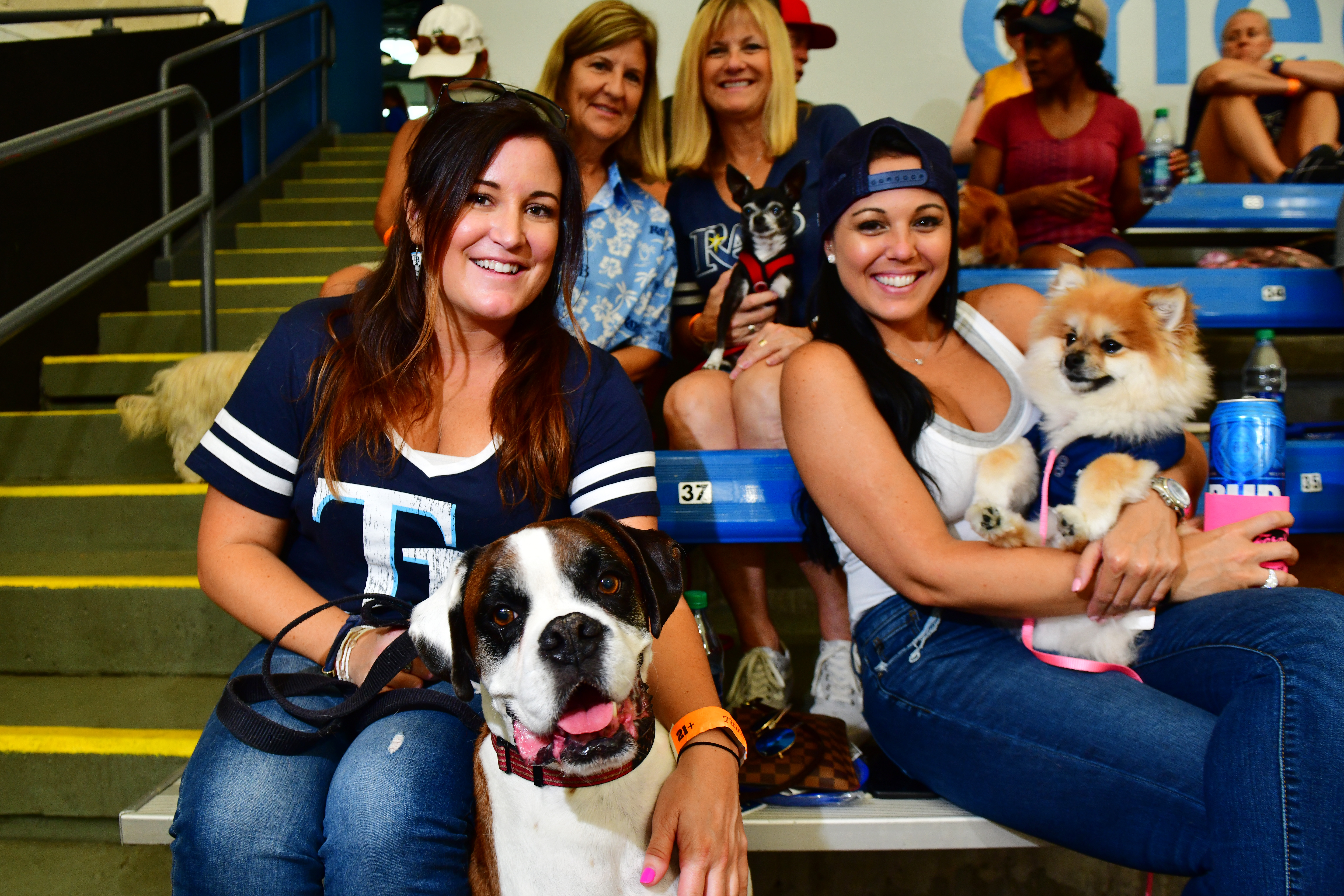 Dog Day at Tropicana Field, 04/17/2016