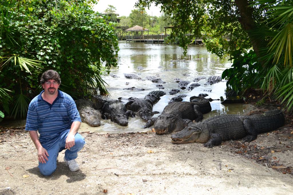 Gatorland close-up with alligators