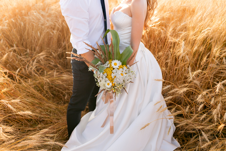 Hands of the bride and groom over the wheat field. Fairytale romantic couple of newlyweds hugging at sunset.