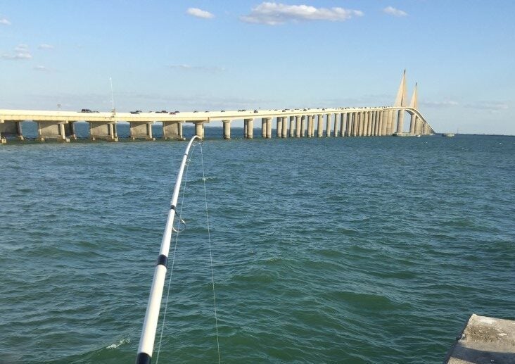 My Big Catches Fishing off the Sunshine Skyway Pier